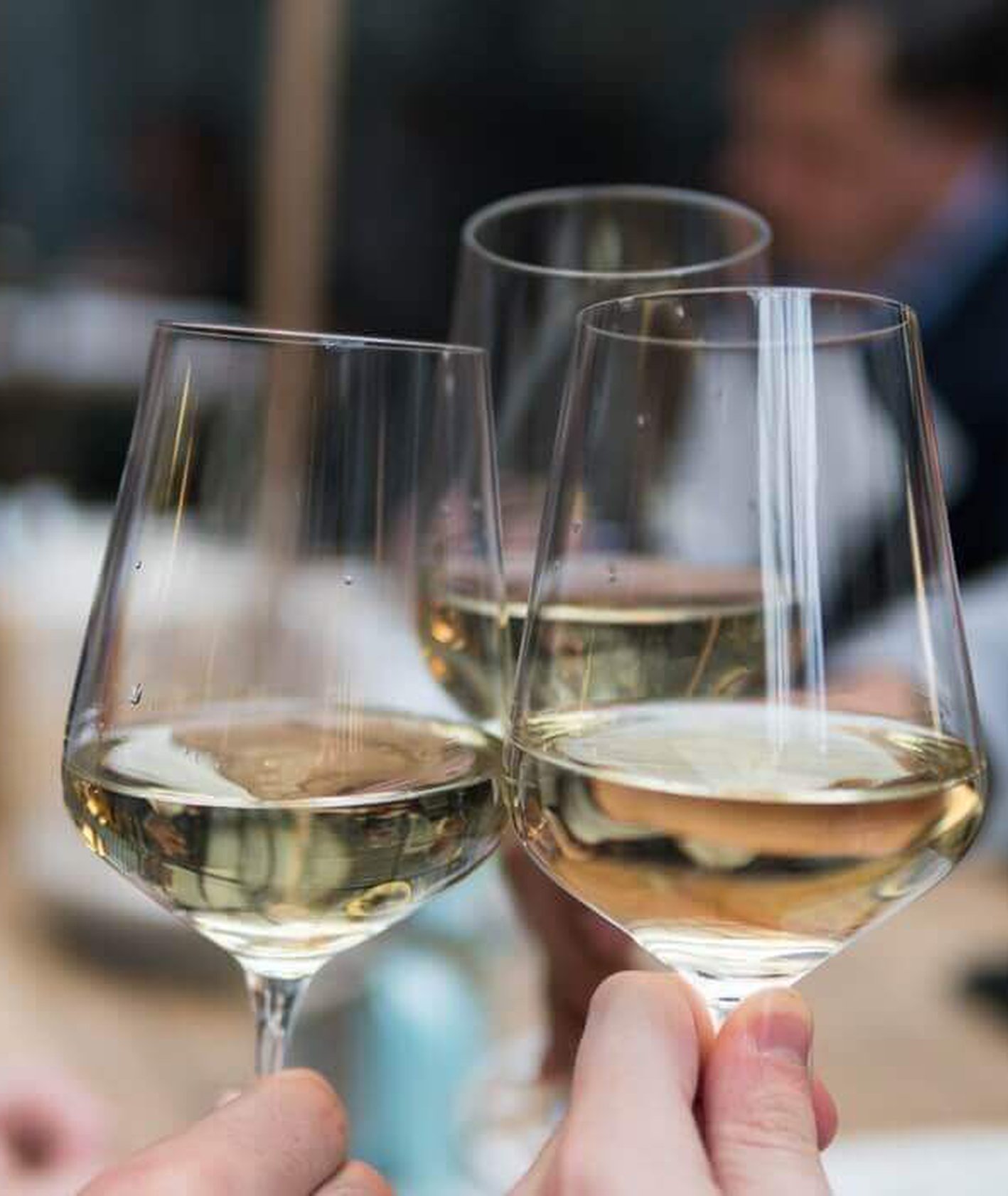 białe wino, jak wybrać wino, wino musujące, kukbuk radzi, jakie wino wybrać, prosecco, cava (fot. Matthieu Joannon / unsplash.com)
