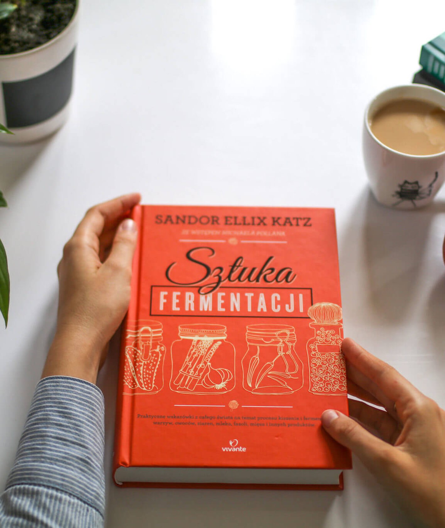 kiszonki, sztuka fermentacji, jak kisić, książki kukbuk, co czytać, książki kulinarne
